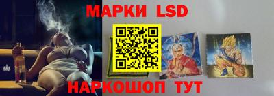 spice Абакан