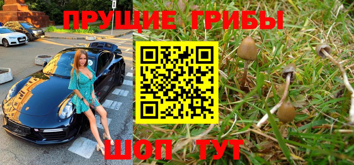 Галлюциногенные грибы GOLDEN TEACHER Абинск