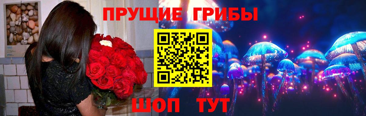 Абинск  Галлюциногенные грибы Cubensis  Вход с VPN 